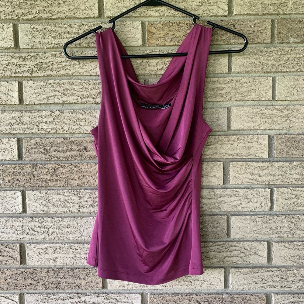 The Limited Crowl Neck Top